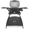 Barbecue a gaz WEBER Q2000 Stand - Noir