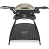 Barbecue a gaz WEBER Q2000 Stand - Noir