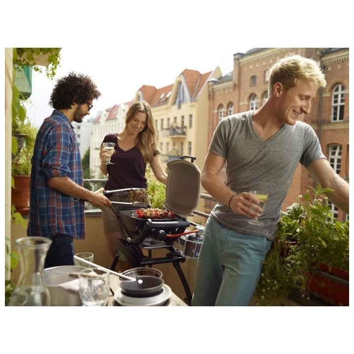Barbecue a gaz WEBER Q1000 - Titanium