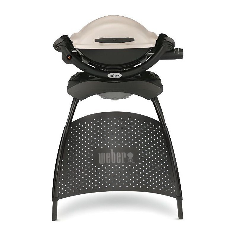 WEBER Barbecue gaz Q 1000 Stand Gas Grill