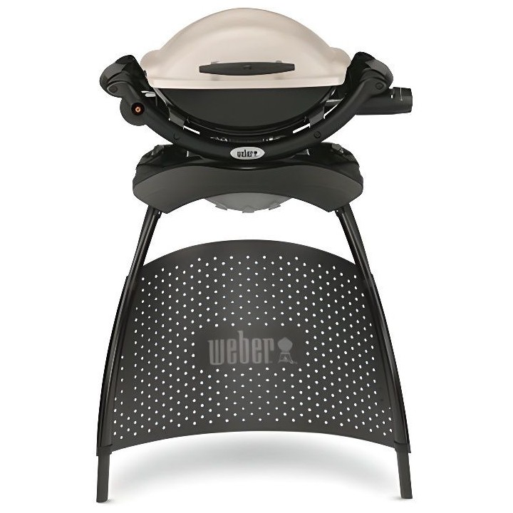 WEBER Barbecue gaz Q 1000 Stand Gas Grill
