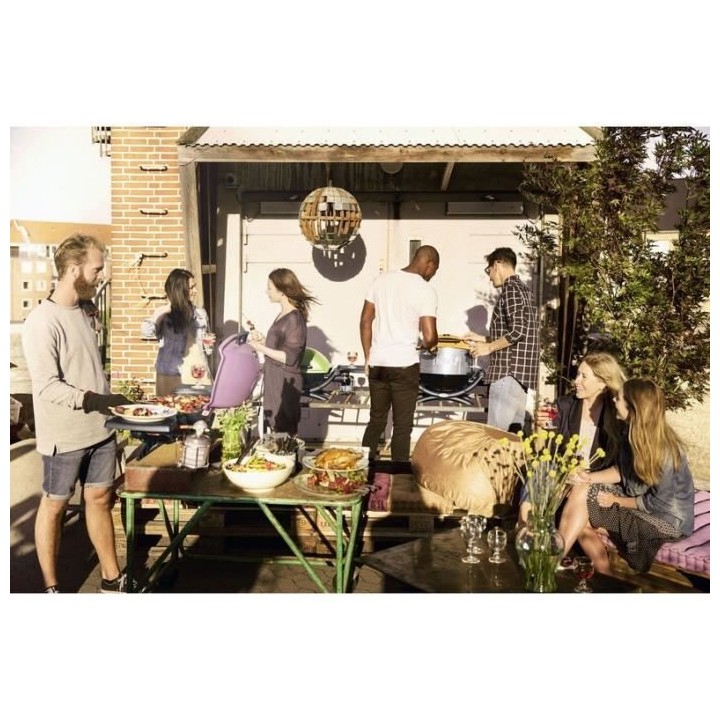 Barbecue Grill Electrique Stand - WEBER - Q 1400 stand