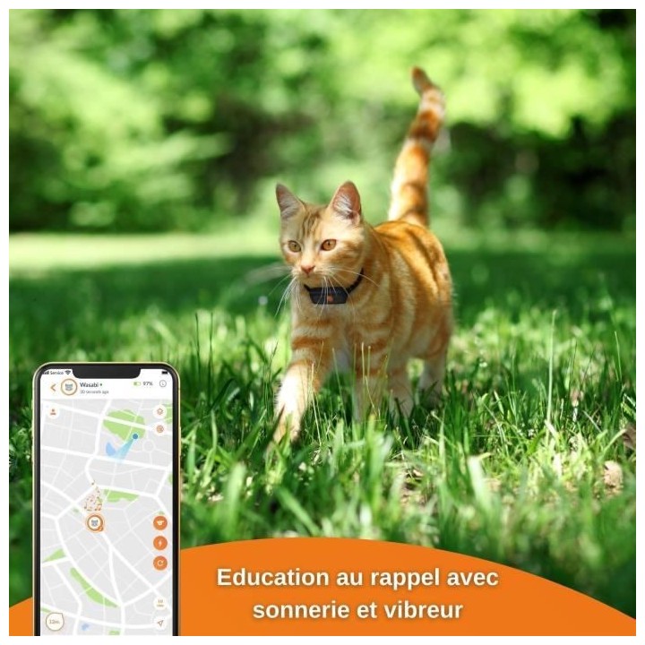 Traceur GPS pour Chat - Weenect XS (Black Edition 2023)