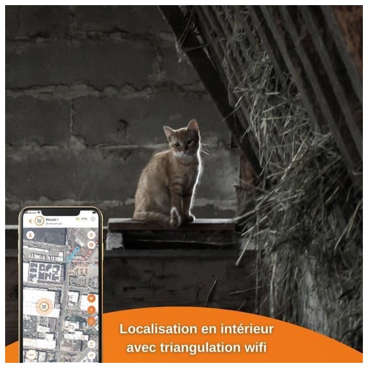 Traceur GPS pour Chat - Weenect XS (Black Edition 2023)