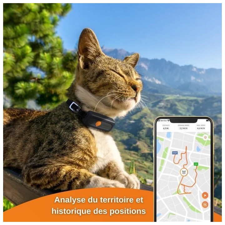 Traceur GPS pour Chat - Weenect XS (Black Edition 2023)