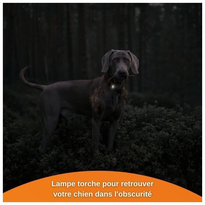 Traceur GPS pour Chien - Weenect XS (Black Edition 2023)
