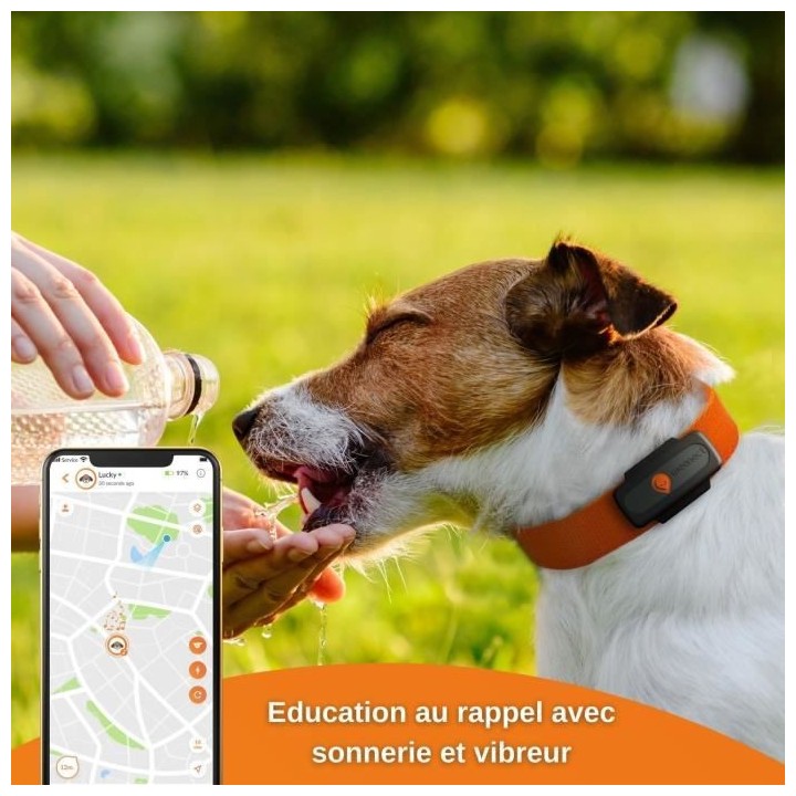 Traceur GPS pour Chien - Weenect XS (Black Edition 2023)