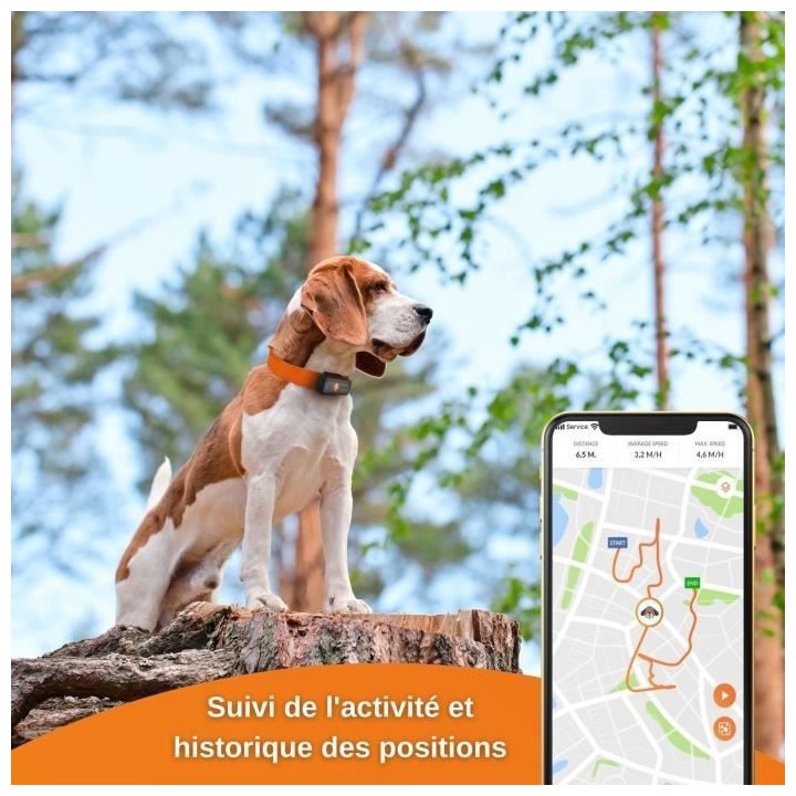 Traceur GPS pour Chien - Weenect XS (Black Edition 2023)