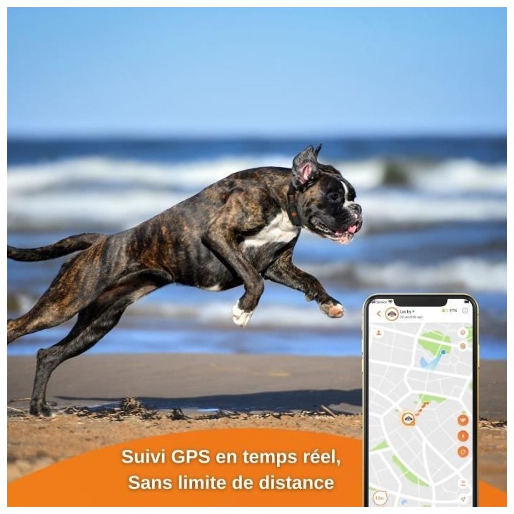 Traceur GPS pour Chien - Weenect XS (Black Edition 2023)