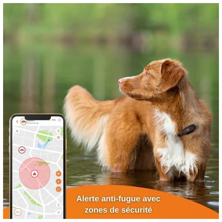 Traceur GPS pour Chien - Weenect XS (Black Edition 2023)