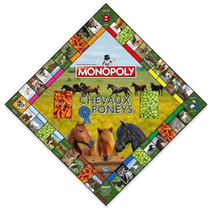 MONOPOLY CHEVAUX ET PONEYS - Jeu de plateau - WINNING MOVES