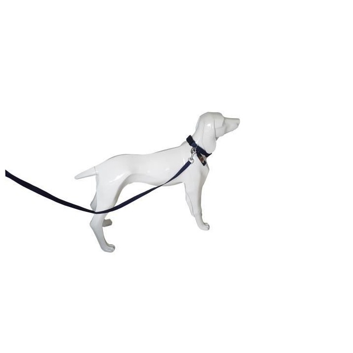 YAGO Collier Classique Bleu en Nylon pour moyen chien, taille M 34-53