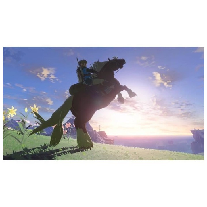 The Legend of Zelda: Tears of the Kingdom - Édition Standard | Jeu Ni