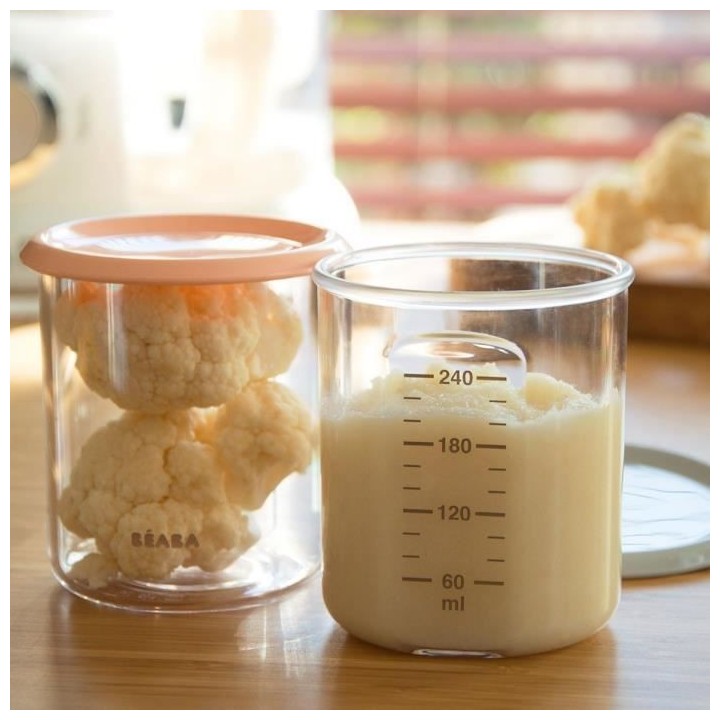 BEABA Lot de 2 Maxi Portions Tritan, Pot de conservation bébé, plast