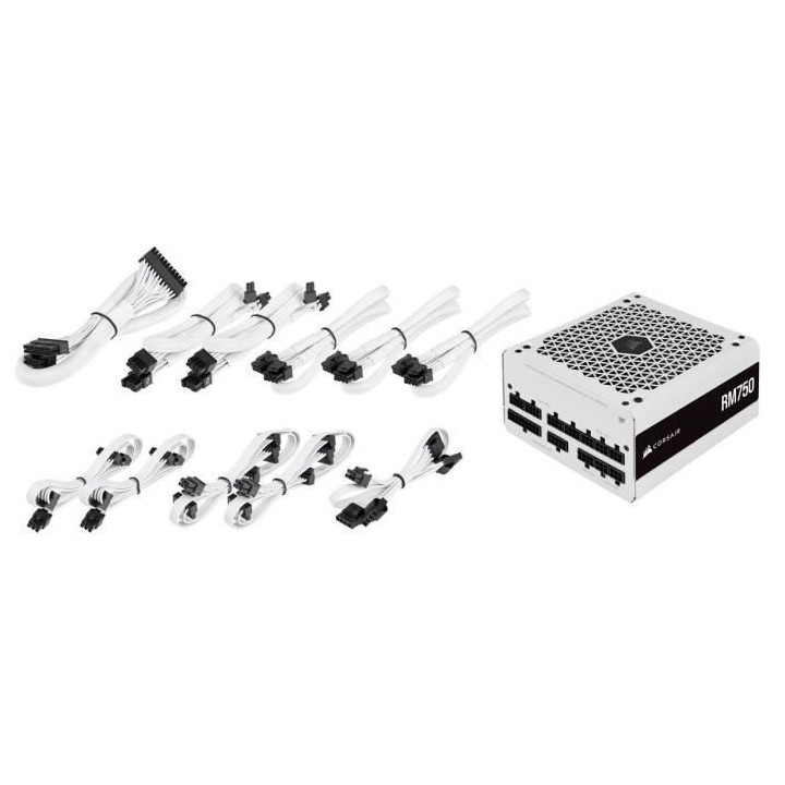 CORSAIR Bloc d'alimentation RM Series RM750 - 750W - 80 PLUS Gold - Bl