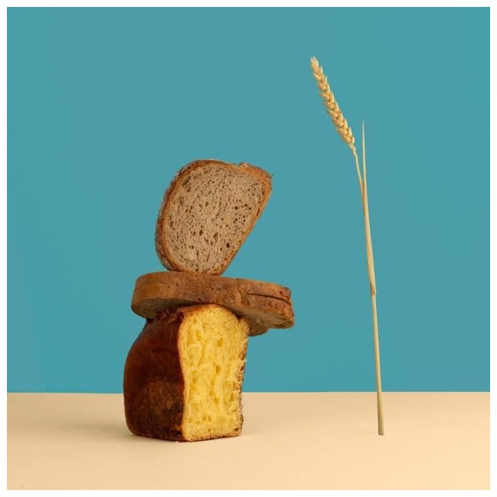 H.KoeNIG BAKE340 - Machine a pain avec graines - 12 programmes - 3 niv