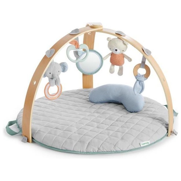 INGENUITY Tapis d'éveil a duvet Cozy Spot reversible - Modele Loamy