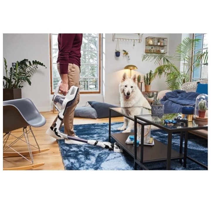 ROWENTA RH9479WO AIR FORCE FLEX 560 Aspirateur Balai - Technologie cyc