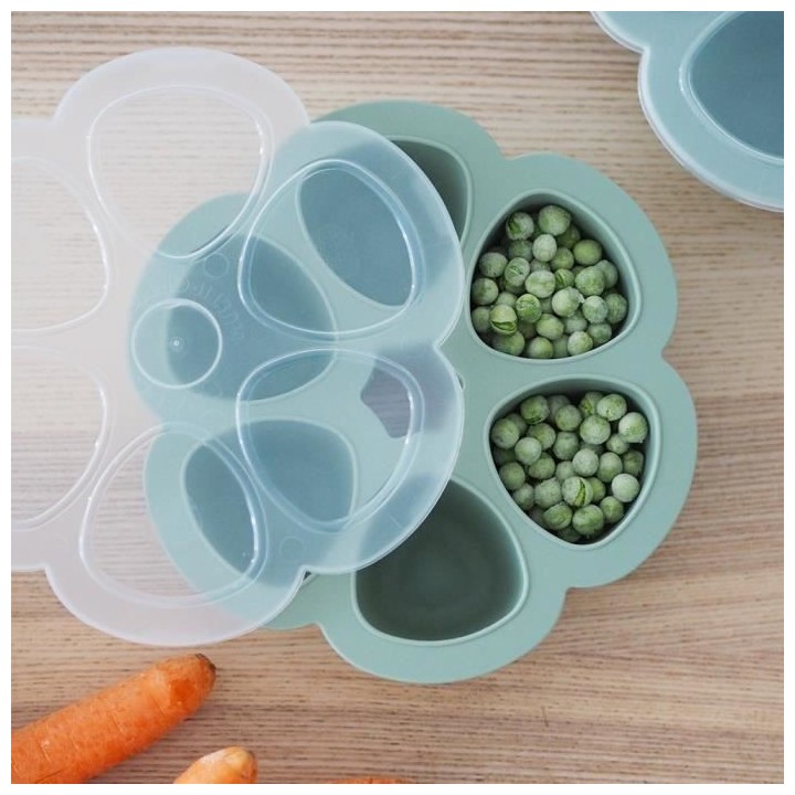 BEABA, Multiportions silicone 6 x 90 ml vert sauge