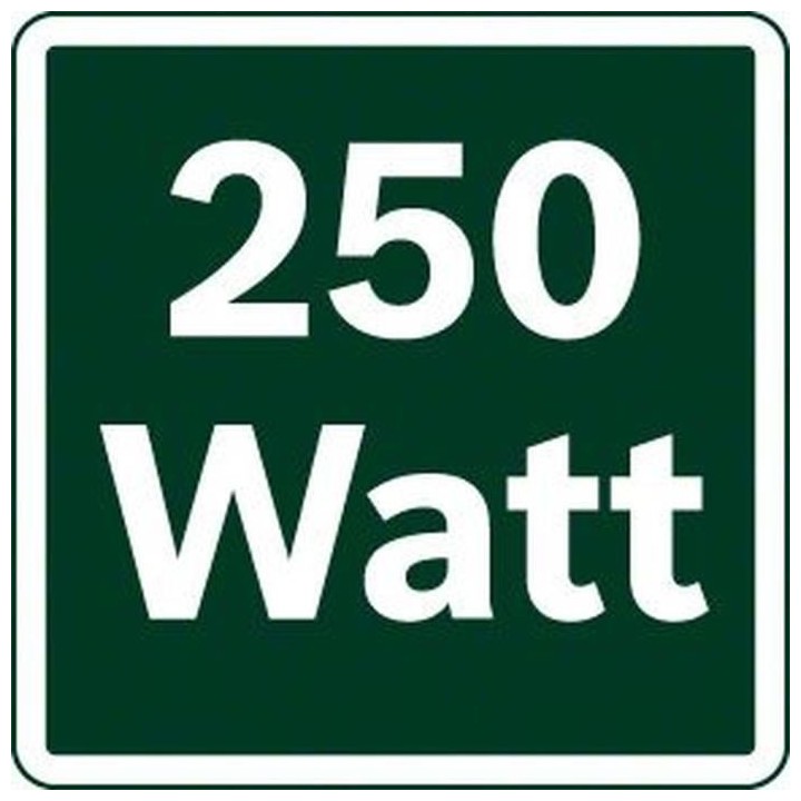 Ponceuse vibrante PSS 300 AE Microfiltre