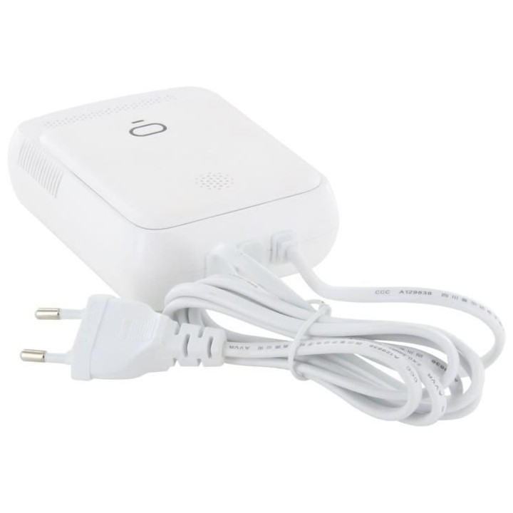 Chacon Détecteur fuite de gaz