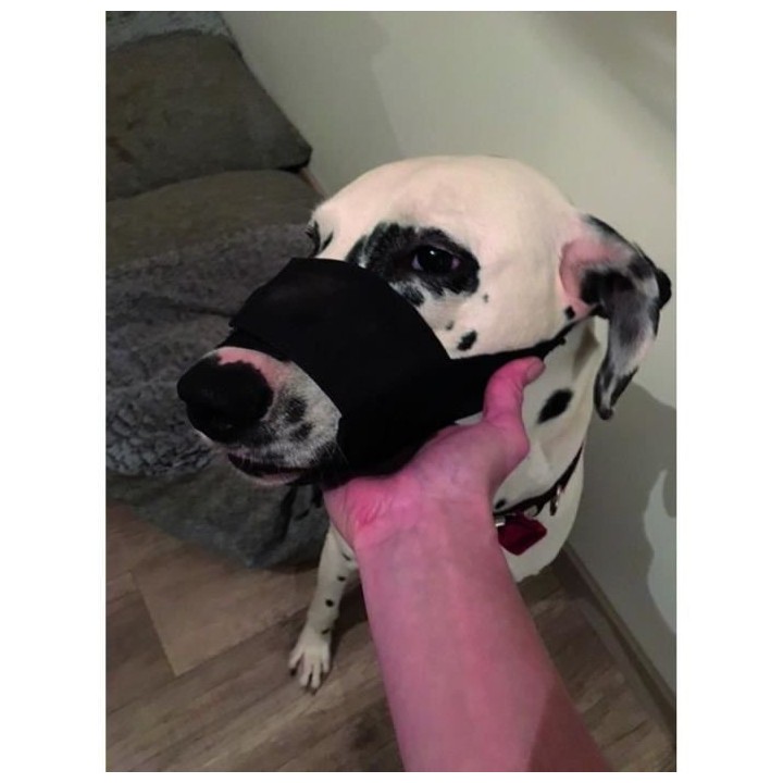 YAGO Museliere en Nylon Noir pour Moyen Chien, Partie Museau avec File