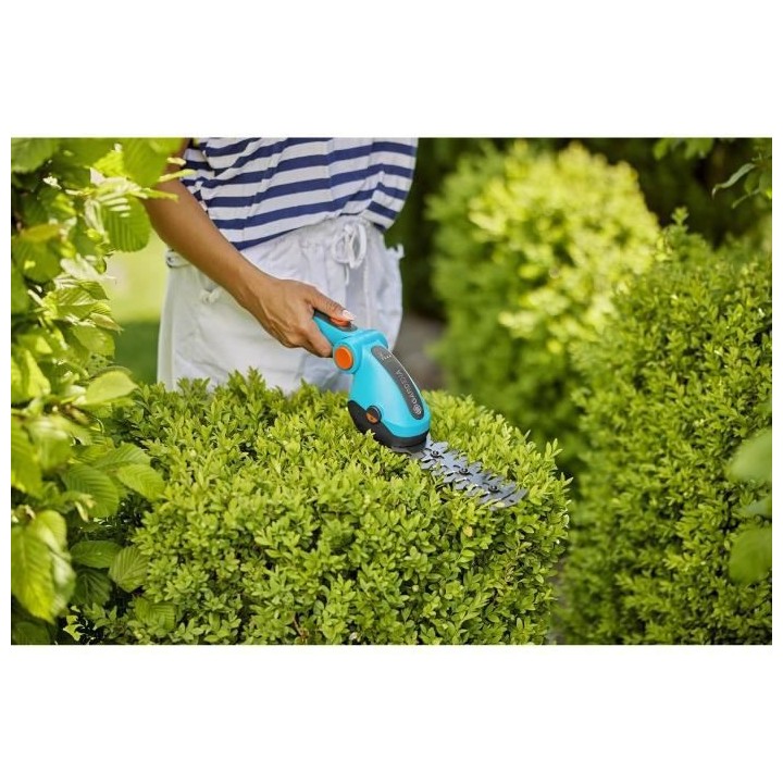 Kit cisaille a gazon ComfortCut Li + manche télescopique + roues - 3,