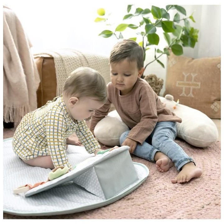 INGENUITY Tapis d'éveil et siege d'activités 4 en 1 Cozy Prop Nate,