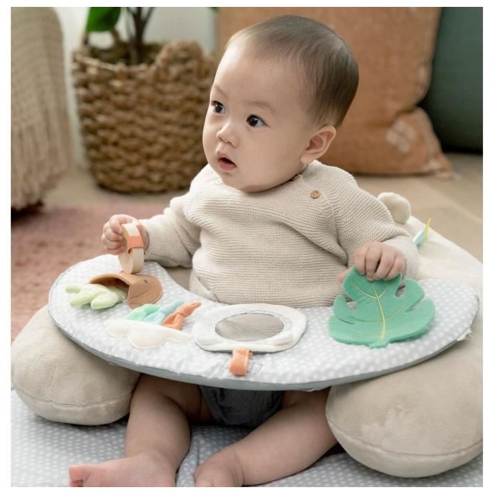 INGENUITY Tapis d'éveil et siege d'activités 4 en 1 Cozy Prop Nate,