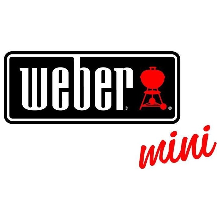 Barbecue Weber One Touch Premium avec charbon sonore et lumineux - KLE