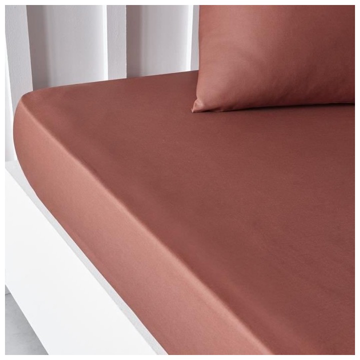 Drap housse TODAY Essential - 140 x 190 cm - 2 personnes - 100% Coton