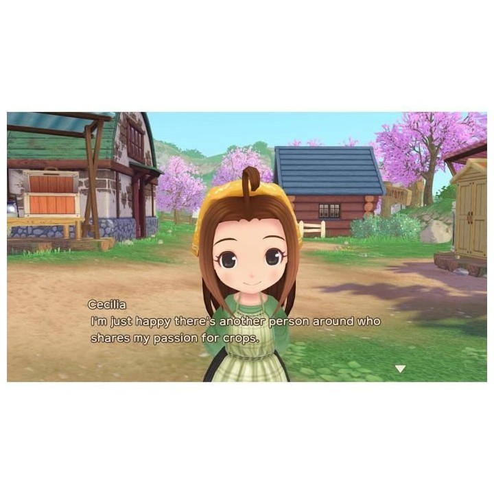 Story Of Seasons A Wonderful Life Jeu Nintendo Switch