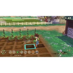 Story Of Seasons A Wonderful Life Jeu Nintendo Switch