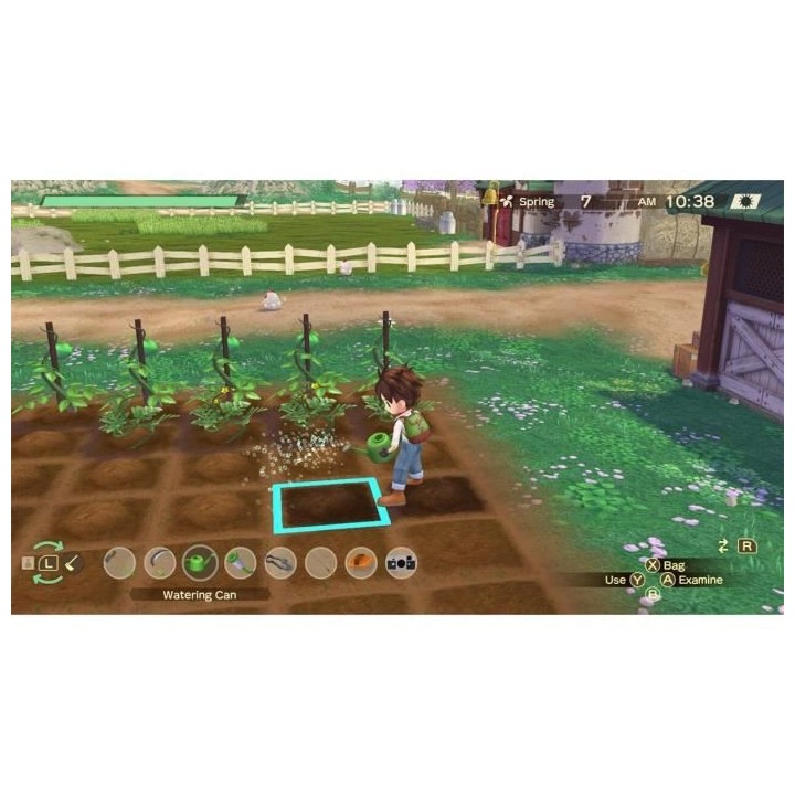 Story Of Seasons A Wonderful Life Jeu Nintendo Switch