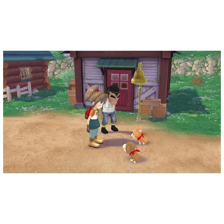 Story Of Seasons A Wonderful Life Jeu Playstation 5