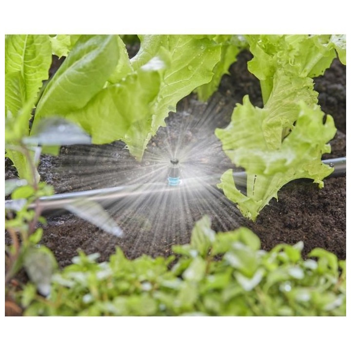 Micro-asperseur 360° Micro-Drip- 13322-20