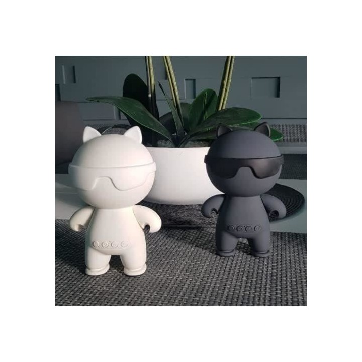 ENCEINTE PORTABLE BLUETOOTH BLANC - INOVALLEY - HP112-BTH-W