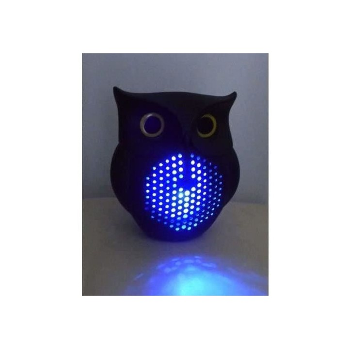 ENCEINTE BLUETOOTH 10 W + RADIO FM - INOVALLEY - HP73-BTH