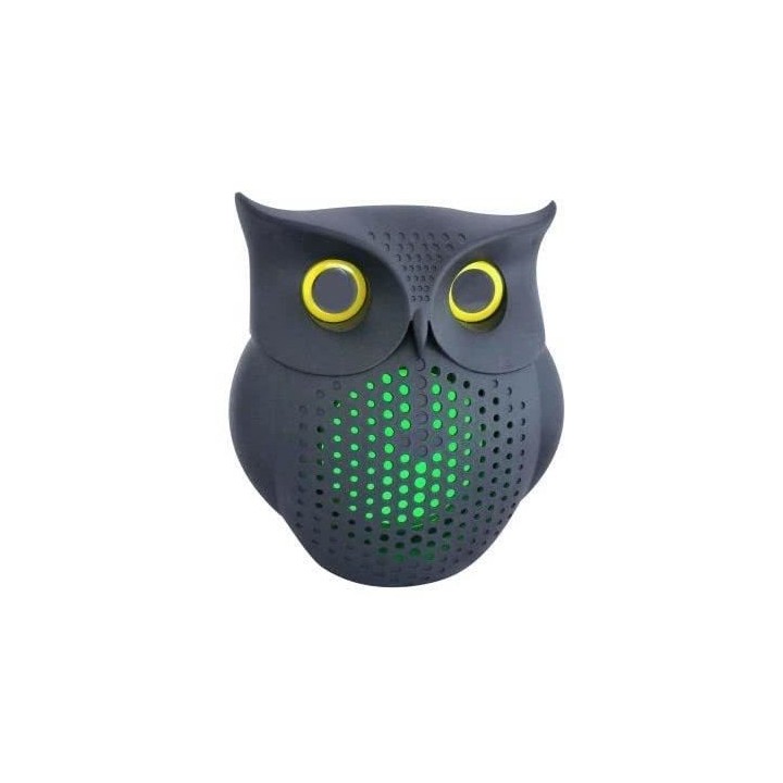 ENCEINTE BLUETOOTH 10 W + RADIO FM - INOVALLEY - HP73-BTH