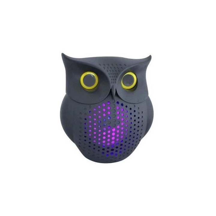 ENCEINTE BLUETOOTH 10 W + RADIO FM - INOVALLEY - HP73-BTH