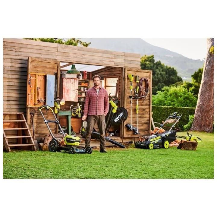 1 batterie lithium+ 36V - 12,0 Ah High Energy RYOBI MAXPOWER - gestion