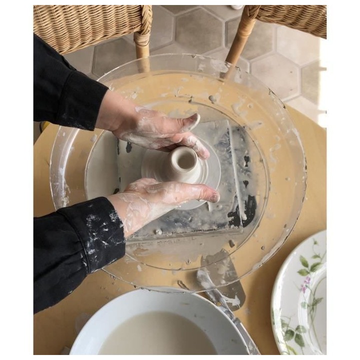 SYCOMORE - UN VERITABLE TOUR DE POTIER