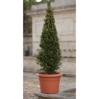 PLASTIKEN Pot a fleurs - Ø 52 cm rond - Terracotta