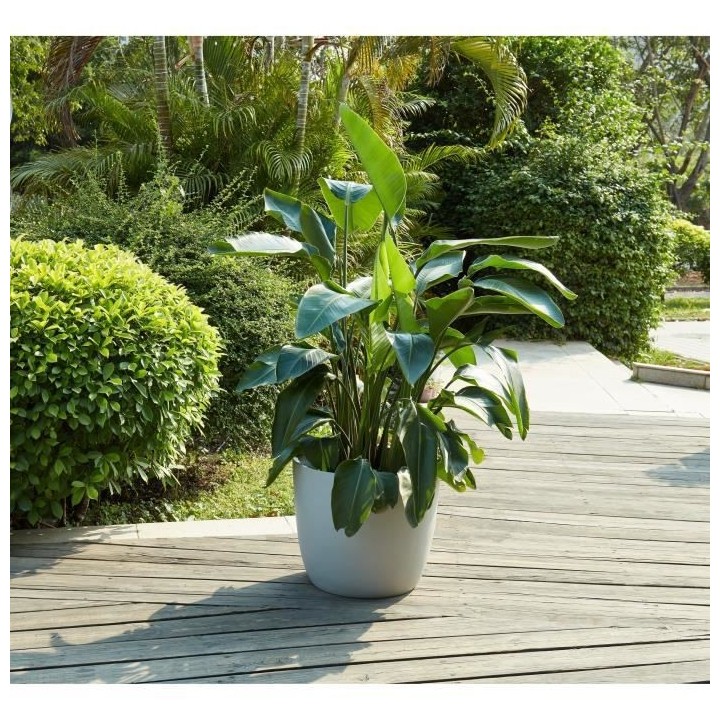 Pot rond en fibre de verre - 50 x 42 cm - Gris clair