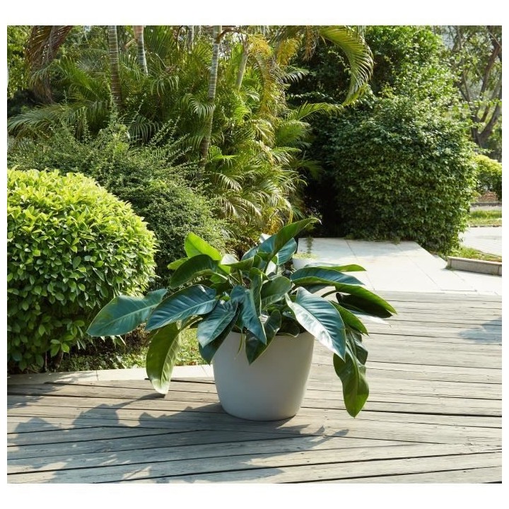 Pot rond en fibre de verre - 50 x 42 cm - Gris clair