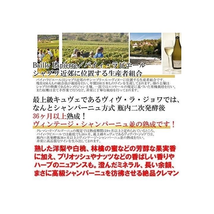 Bailly Lapierre Vive La Joie Millésimé - Crémant de Bourgogne