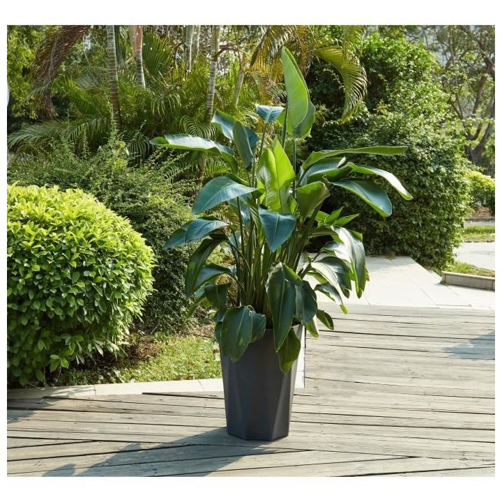 Pot géométrique en fibre de verre - 39 x 53 cm - Gris anthracite