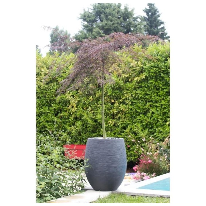 EDA Pot rond Graphit Ø50cm - Contenance 53L - Gris anthracite