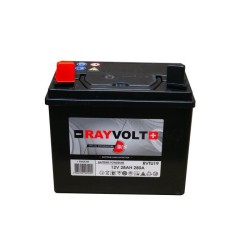 Batterie tondeuse RAYVOLT...