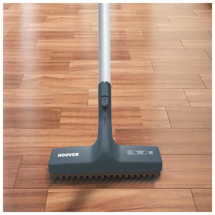 HOOVER TELIOS EXTRA TX50PET - ASPIRATEUR TRAINEAU AVEC SAC - 700W - si